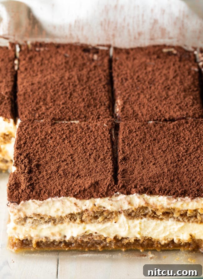 An inviting, up-close shot of the best tiramisu with visible, perfect layers of cream and coffee-soaked ladyfingers.