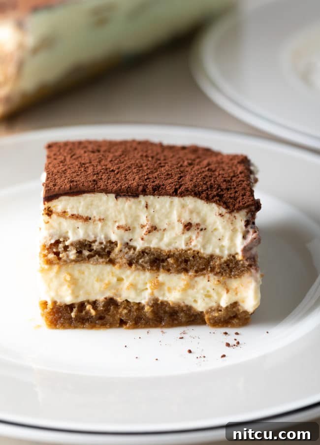 A pristine slice of Tiramisu presented beautifully on a white plate, highlighting its distinct layers and cocoa dusting.