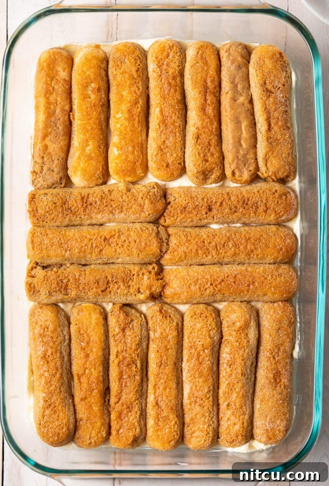 Ladyfingers, perfectly dipped in coffee and liqueur, arranged in a neat single layer at the bottom of a glass baking dish, forming the base of the tiramisu.
