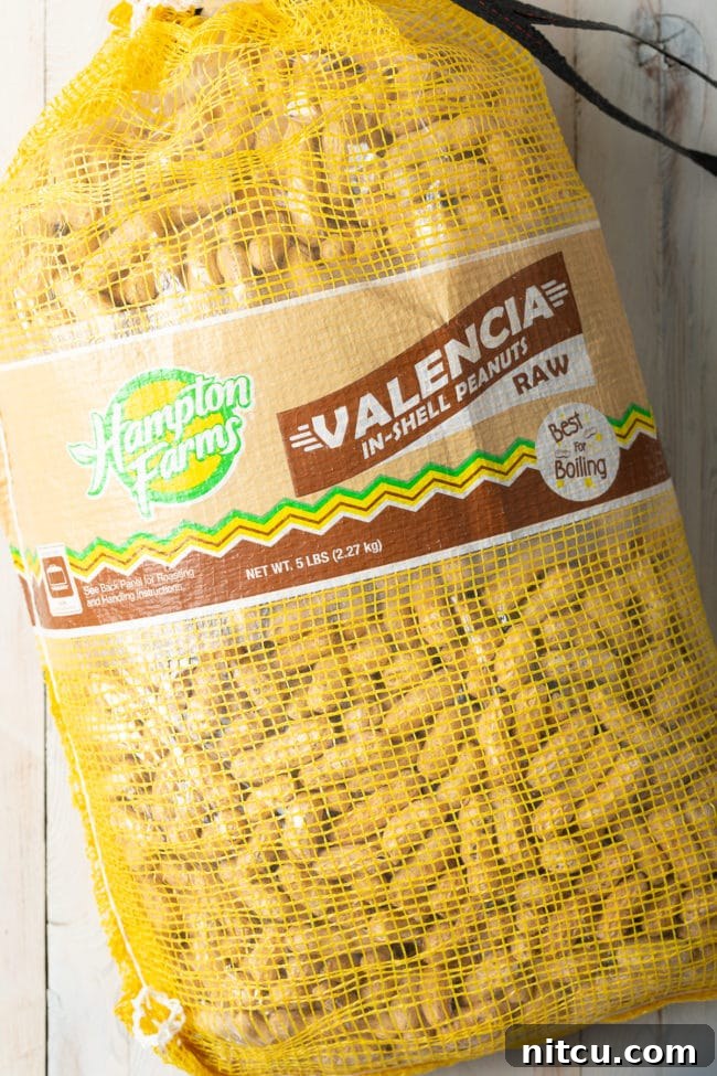 Raw Peanuts in a large 5 pound bag. 