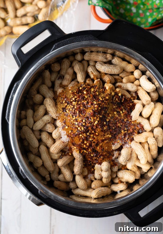 Peanuts in an Instant pot with spices piled on top. 