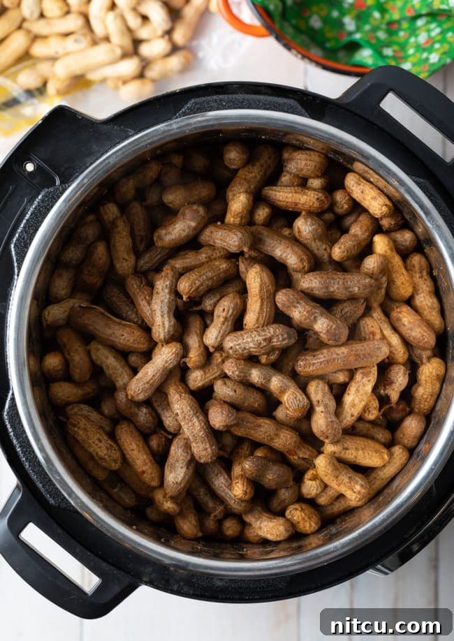 Perfect Boiled Peanuts Recipe (3 Ways!)
