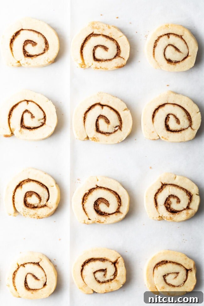 Cinnamon roll cookie dough log being sliced into individual cookies