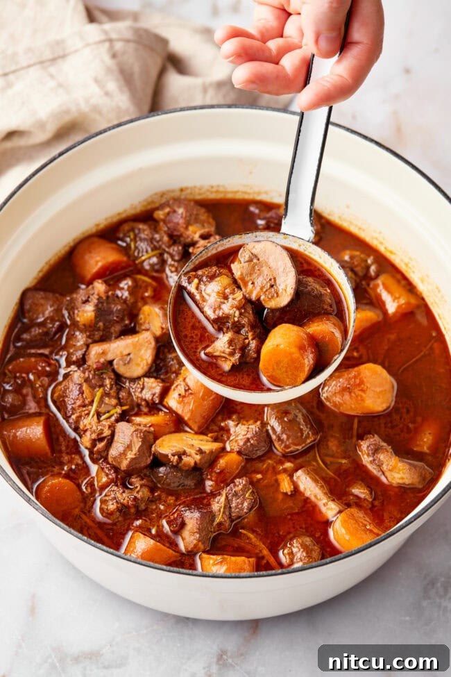 Big pot of venison bourguignon on a table with ladle. 