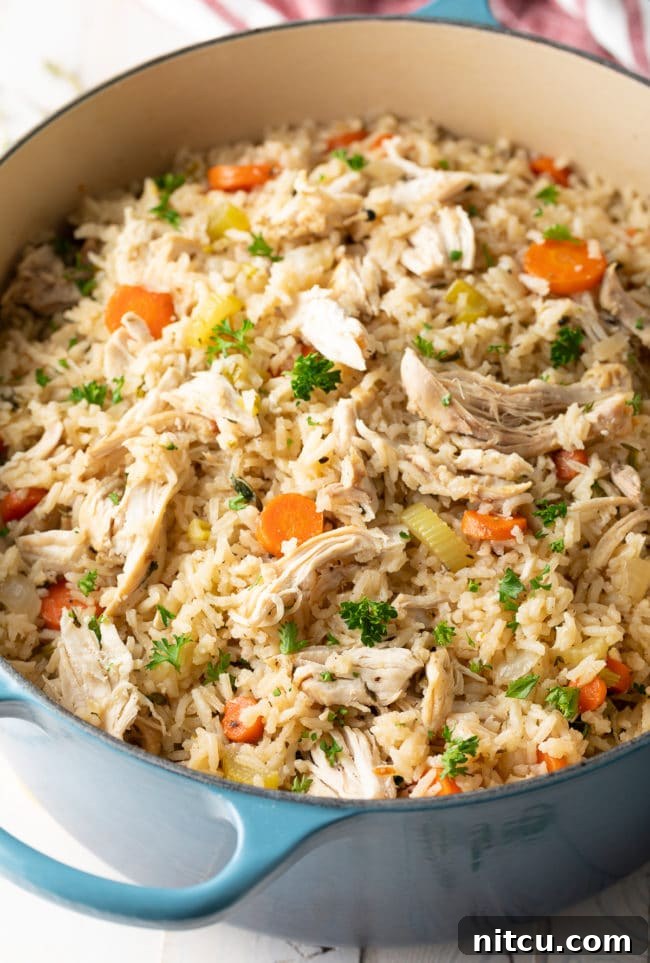 A close-up view of perfectly cooked chicken and rice, showcasing its comforting texture.