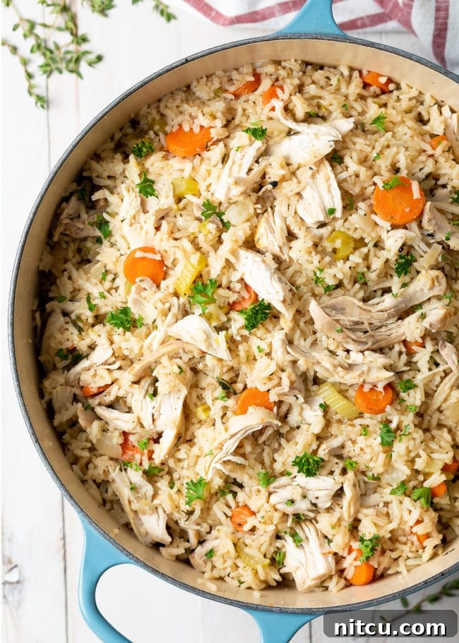 Overhead shot of chicken and rice in a large pot, steaming and ready to be served.