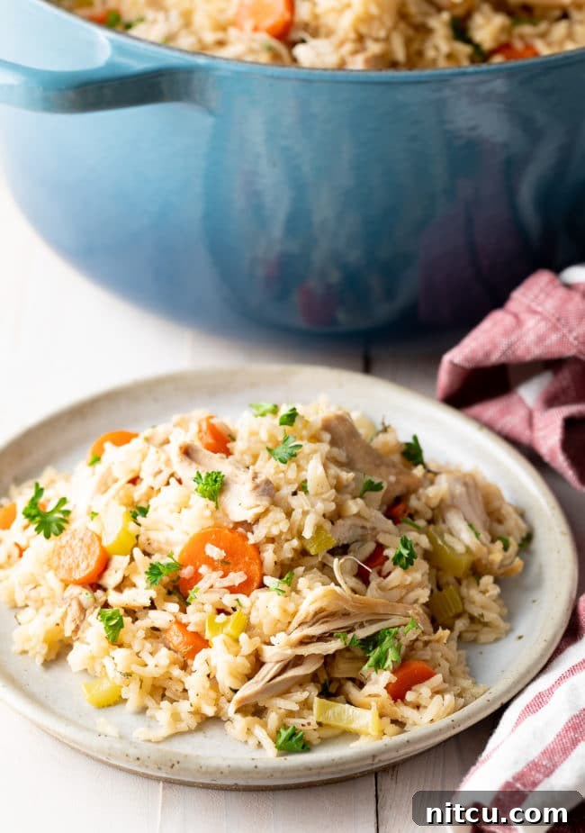 Chicken and rice served on a plate with the pot of chicken and rice in the background, ready to be enjoyed.