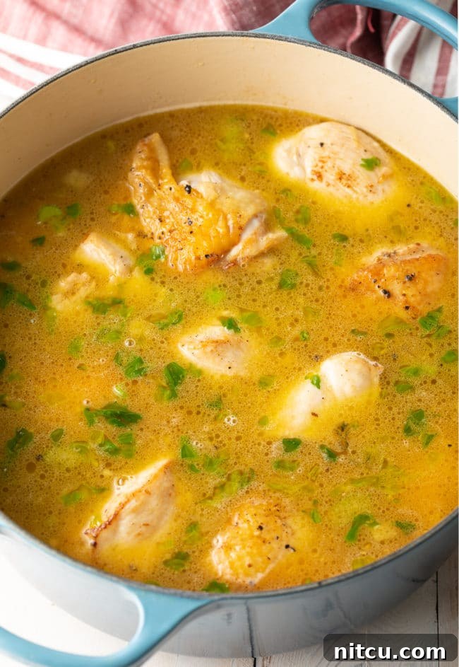 Sauteed chicken and vegetables covered in broth, simmering gently in a pot.
