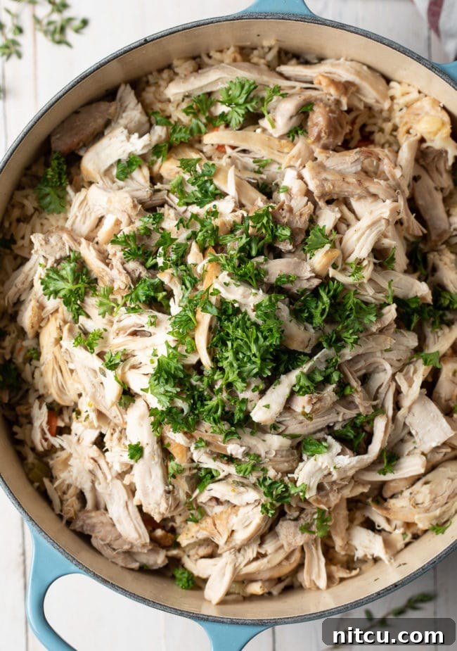 Instant Pot Chicken and Rice (or Stovetop Recipe) – a hearty, southern-inspired dish.