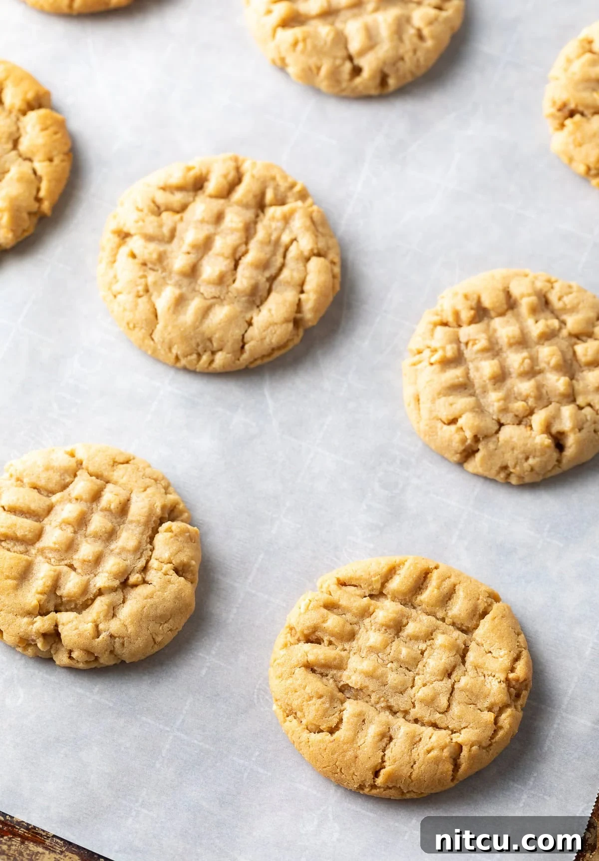 A baking sheet filled with freshly baked peanut butter cookies, demonstrating the perfect texture achieved by the secret ingredient.