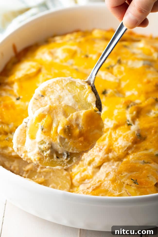 Cheesy Scalloped Potatoes au Gratin in a baking dish with spoon