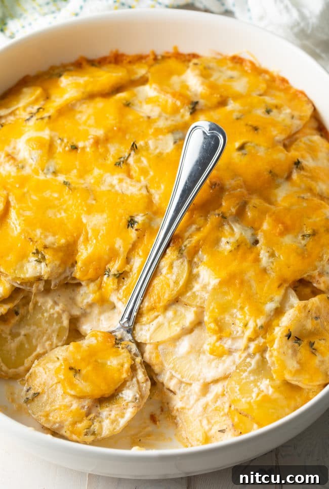 Best Recipes for Cheesy Scalloped Potatoes overhead with soft thin potato slices in dish