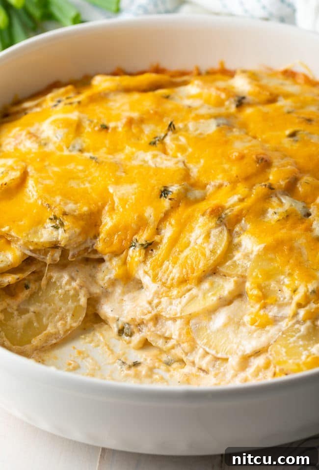 Potatoes au Gratin Recipe close up in dish