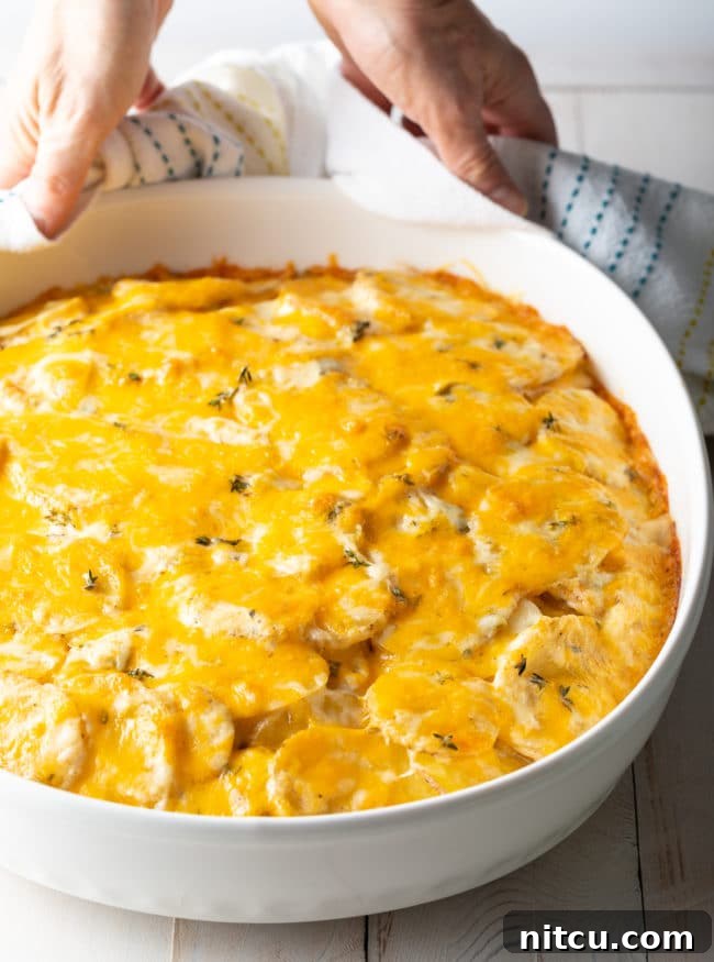 Best Potatoes au Gratin Recipe - hot in baking dish with cheese on top