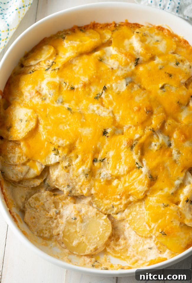 Best Scalloped Potatoes Recipe overhead shot with thinly sliced potatoes 