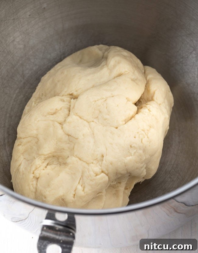 Flour Tortilla Dough