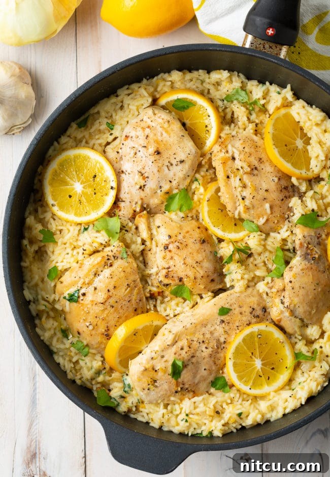 Vibrant Lemon Parmesan Chicken and Rice in a cast iron skillet, photographed from an overhead perspective, showcasing its rich textures and golden-brown chicken.