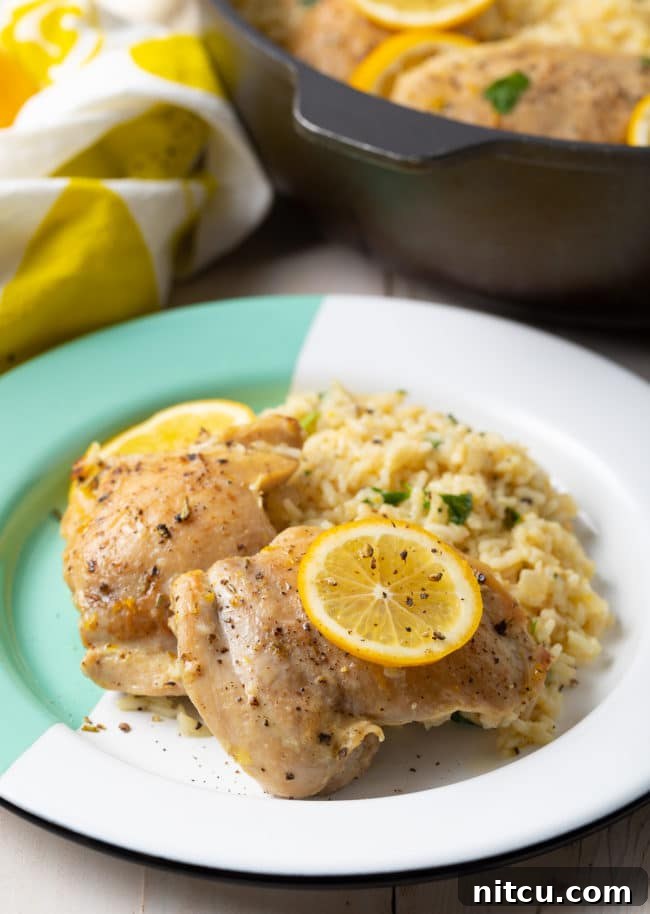 A serving of chicken Parmesan lemon and rice one-skillet meal artfully arranged on a plate, ready to be enjoyed.