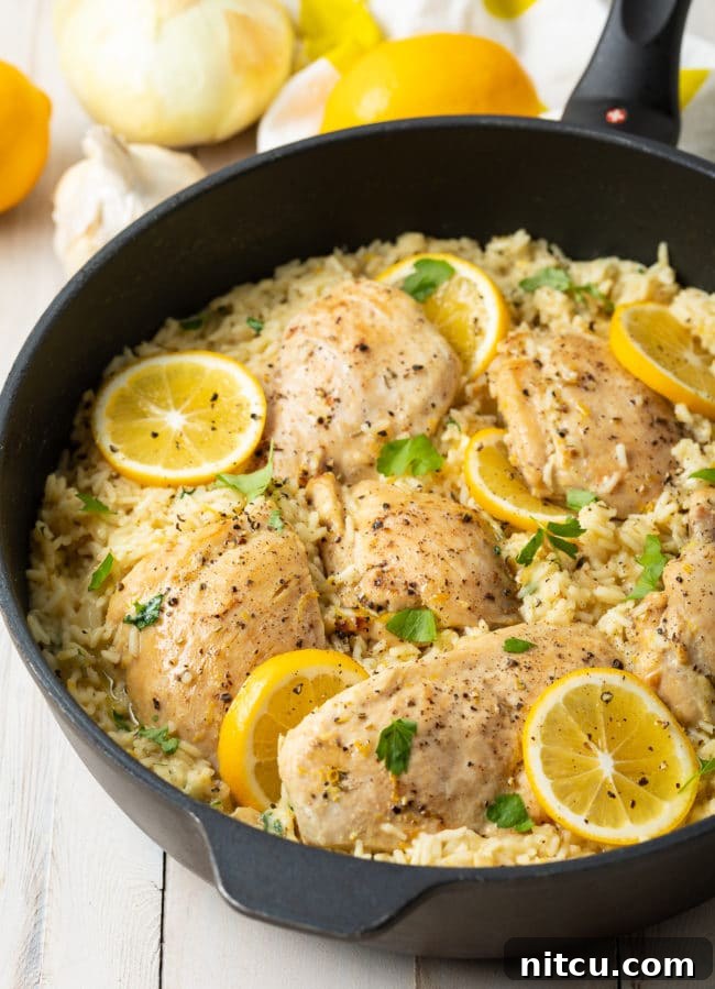 Close-up of creamy lemon chicken and rice skillet with vibrant lemon slices scattered within the pan, highlighting its fresh appeal.
