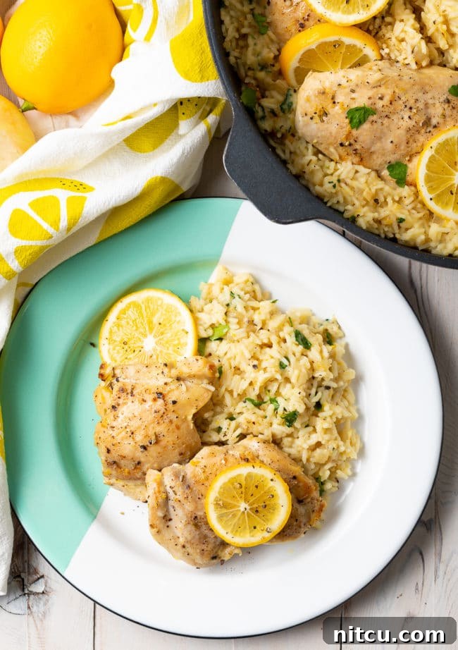 Close-up of a zesty lemon chicken parmesan rice skillet, showing the golden chicken pieces nestled in creamy rice, with lemon wedges and fresh herbs.