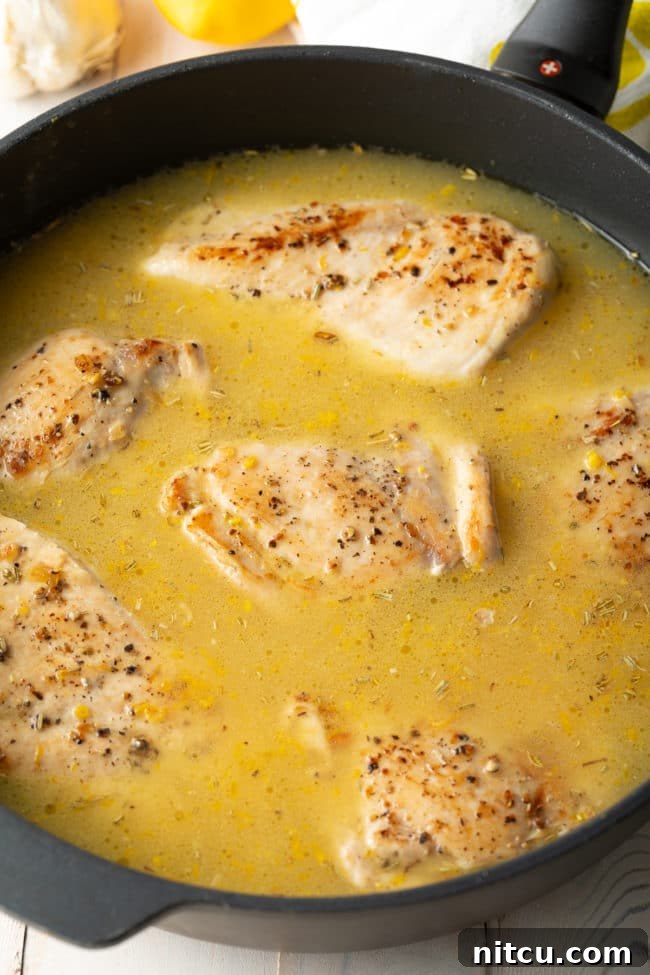 Chicken thighs placed back over the seasoned rice in the skillet, ready for simmering.