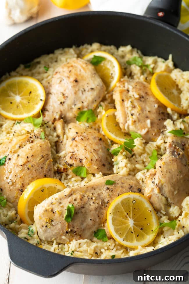An appetizing close-up of cheesy Parmesan chicken with lemon and rice in a skillet, showcasing the golden-brown chicken and creamy texture.