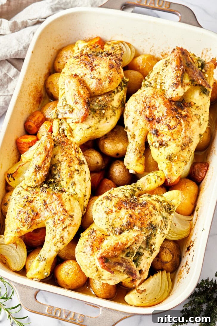 Roasted Game Hens in a roasting pan on a bed of veggies. 