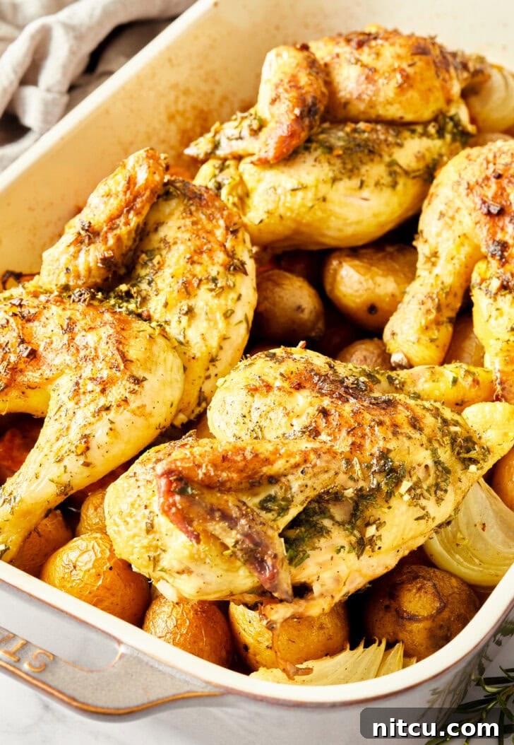 Cornish hens in a baking dish after baking.