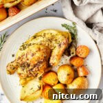 Roasted Game Hens in a roasting pan on a bed of veggies.