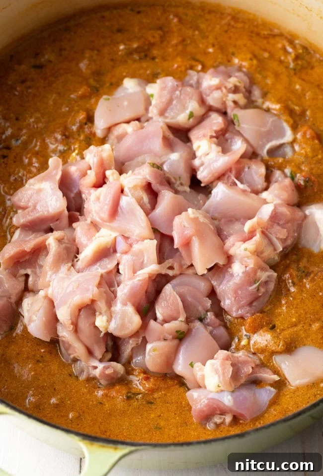 Simmer the Chicken Curry