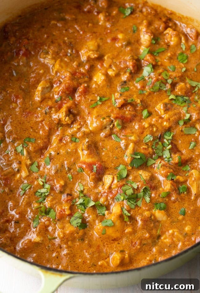 Finished Madras Chicken Curry with fresh cilantro.