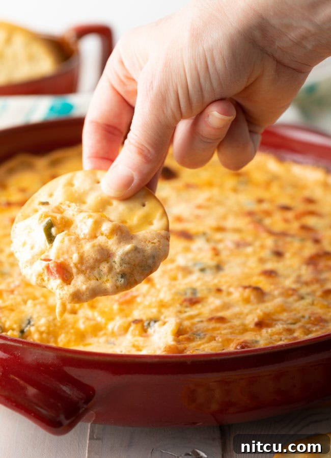 Hand holding a cracker being dipped into hot shrimp dip. 