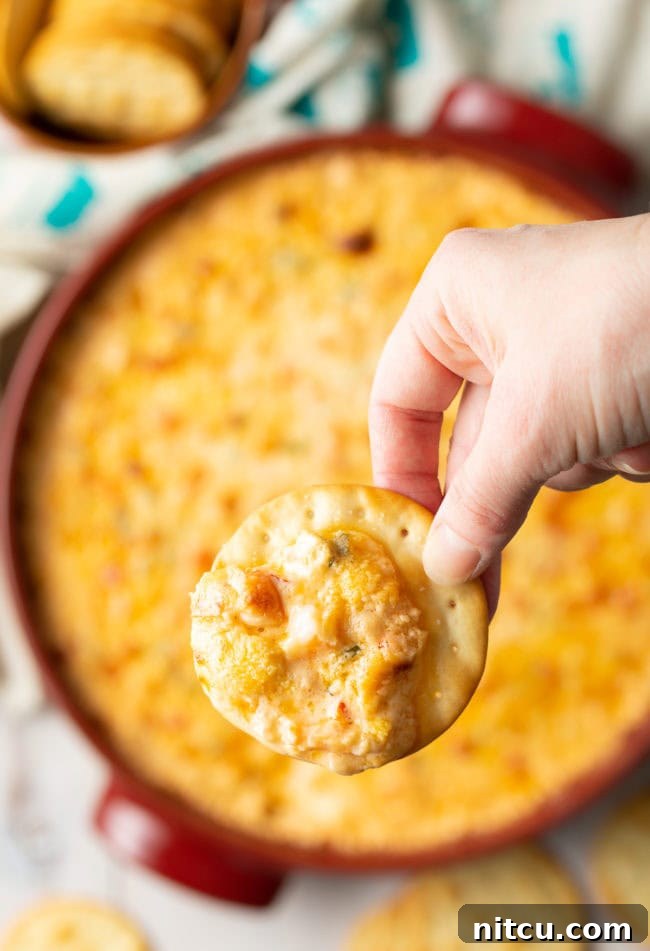 a cracker is loaded with this cajun dip with a hand holding the cracker. 