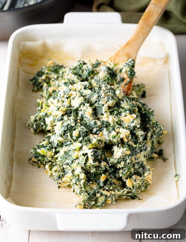 The savory spinach and cheese filling, rich with herbs, spread evenly over the golden phyllo base within a baking dish, ready for its top layer.