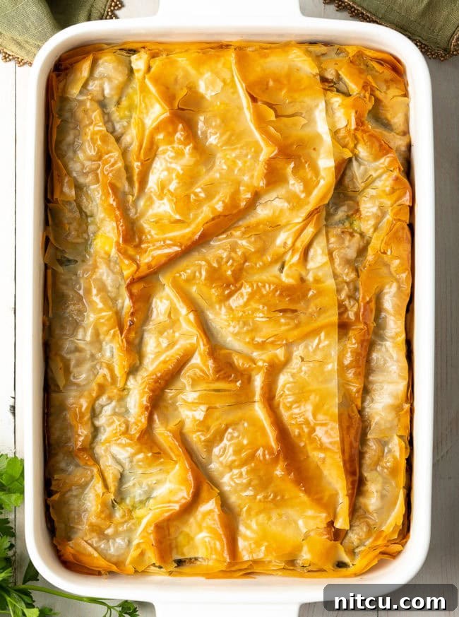 A close-up of a perfectly sliced piece of the golden-brown Cheese and Spinach Pie, showcasing its rich, herbaceous filling and beautifully flaky crust.