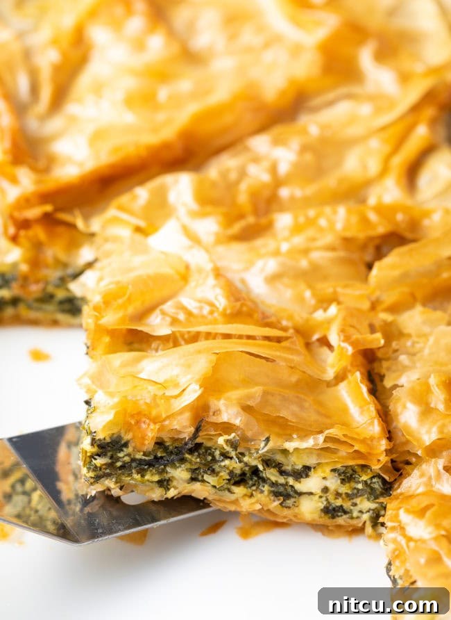 A vibrant close-up of the crispy, golden-brown crust of the Savory Cheese and Spinach Pie, highlighting its tempting, flaky texture and rich color.