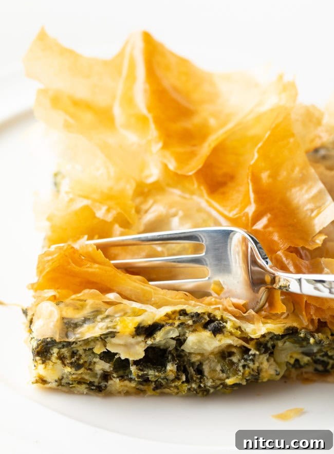 Front view of a beautifully baked Savory Cheese and Spinach Pie, showcasing its crispy, golden layers and inviting presentation, perfect for any occasion.