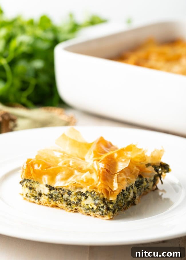A single serving of the Savory Cheese and Spinach Pie on a white plate, showcasing its golden, crispy phyllo layers and herbaceous filling.