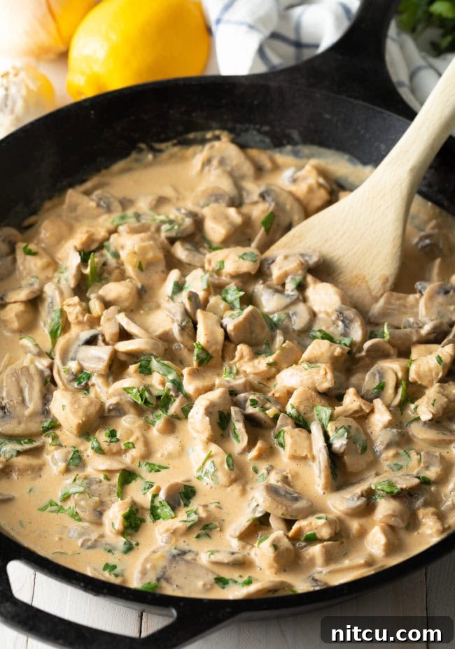 Creamy Skillet Cajun Chicken & Mushrooms | A Spicy Perspective