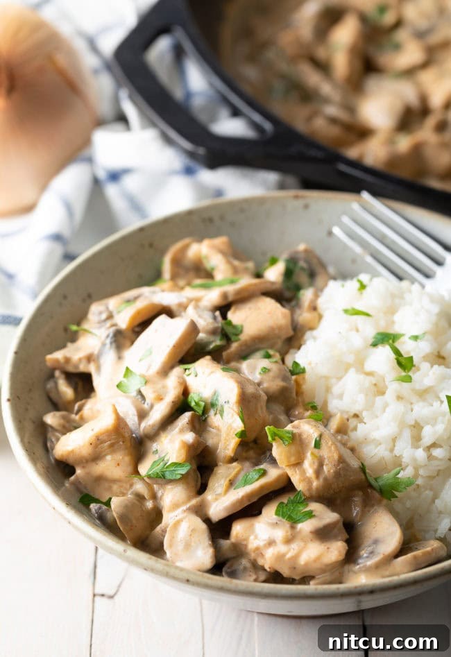 Creamy Skillet Cajun Chicken & Mushrooms | A Spicy Perspective