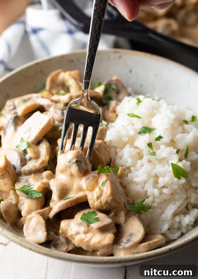 Chicken with Mushrooms and Rice