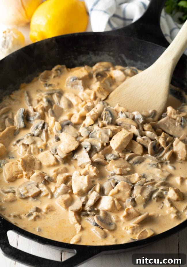 mushrooms and chicken with smooth, spicy sauce