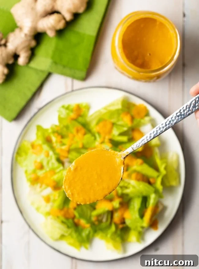 Closeup of spoon to camera filled with dressing. A spoon artfully displays the creamy, perfectly blended Japanese Ginger Dressing.