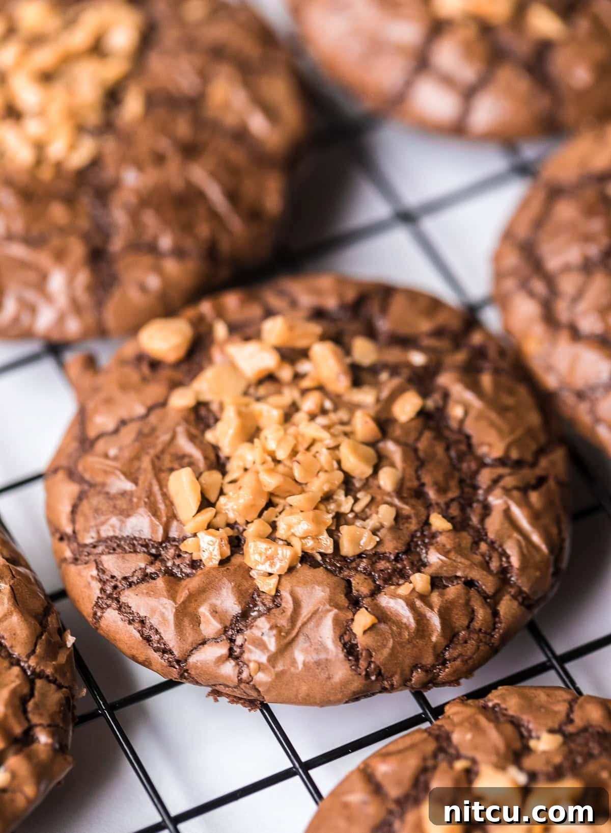 close up of Brownie Cookie on rack