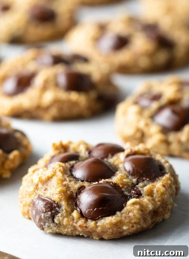Close shot of a banana oatmeal cookie with chocolate chips.