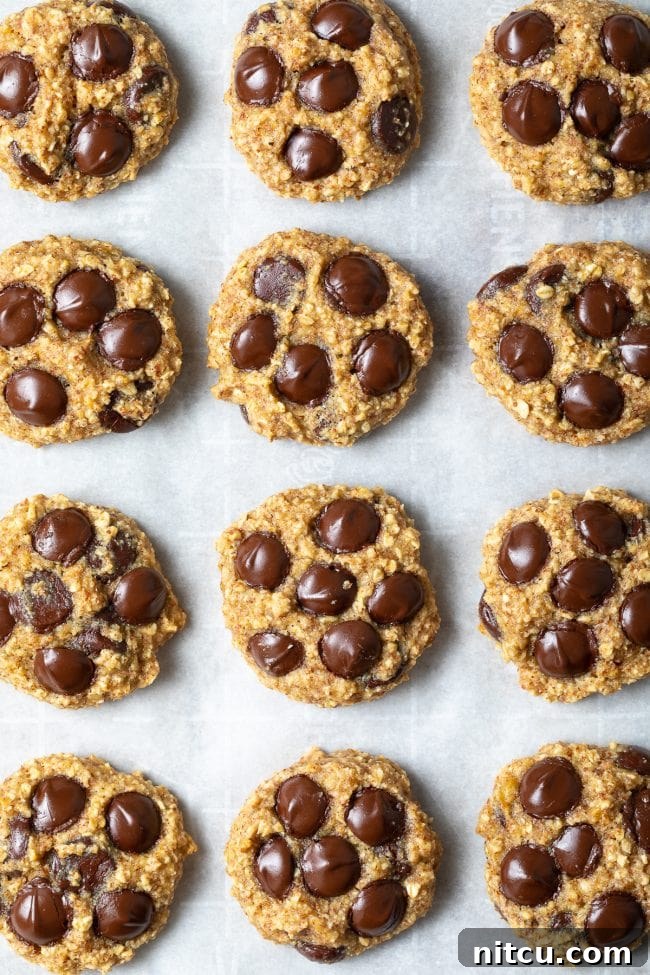Top down view a dozen chocolate chip cookies on parchment baking paper.