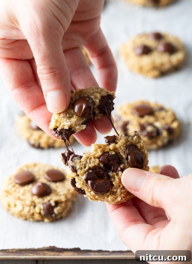 Hand pulling apart a healthy chocolate chip cookie to show the melty chocolate. 