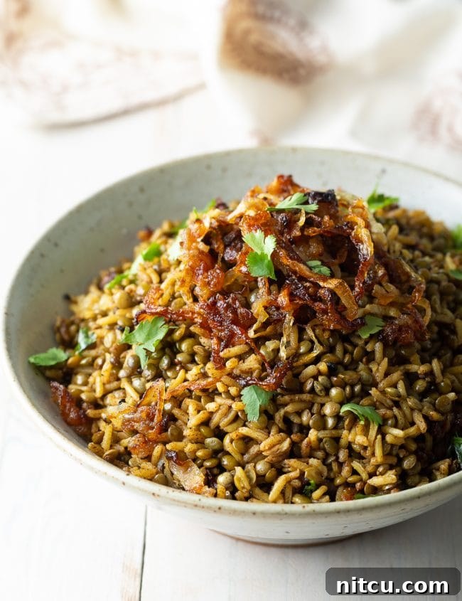A vibrant bowl of Mujadara lentils and rice, topped generously with crispy fried onions and a sprinkle of fresh herbs.