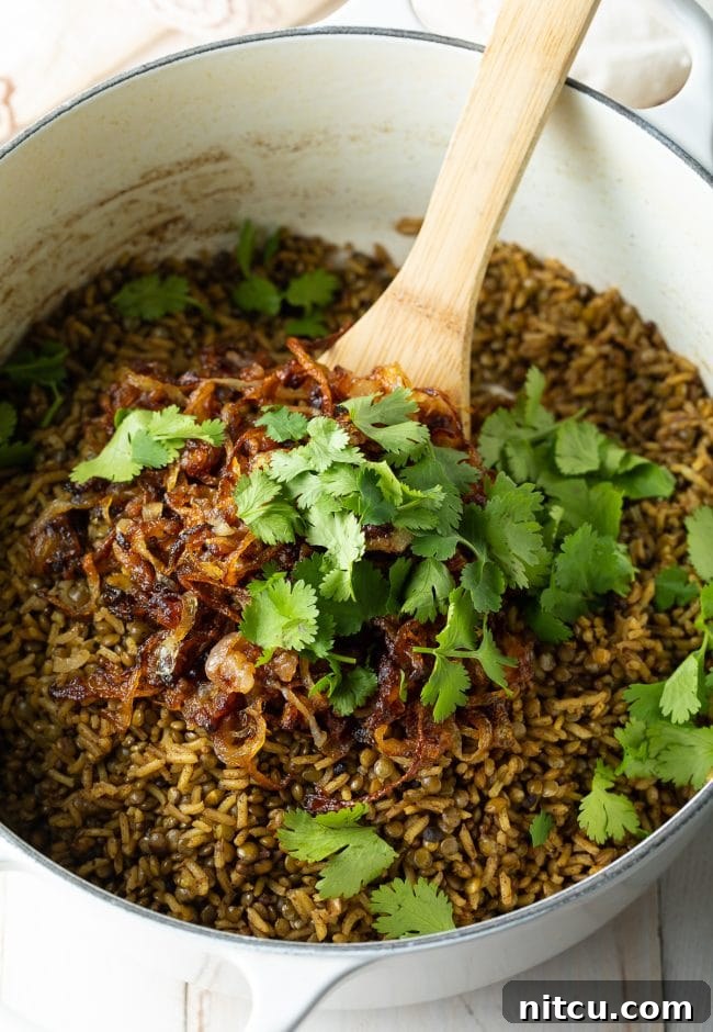 Fresh cilantro leaves scattered over the finished Mujadara, adding a pop of color and freshness.