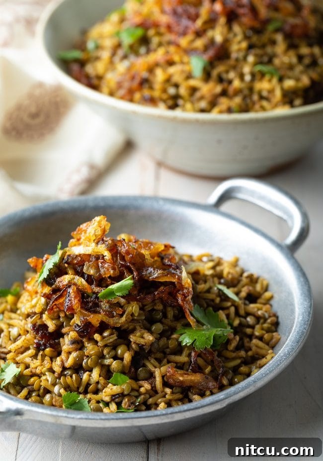 A close-up of crispy fried onions delicately placed atop a bowl of warm Lebanese rice.